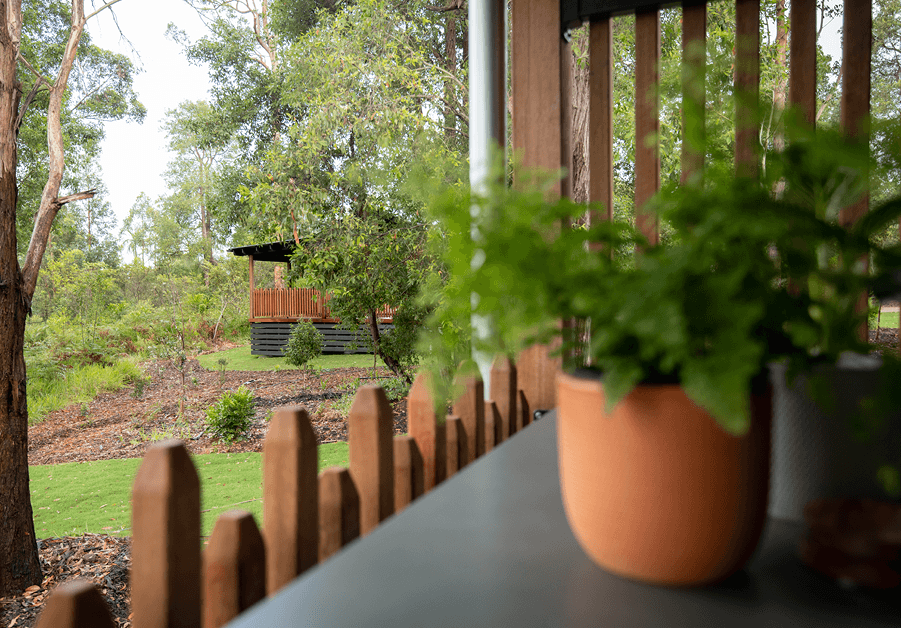 Red Kangaroo Cabin 5