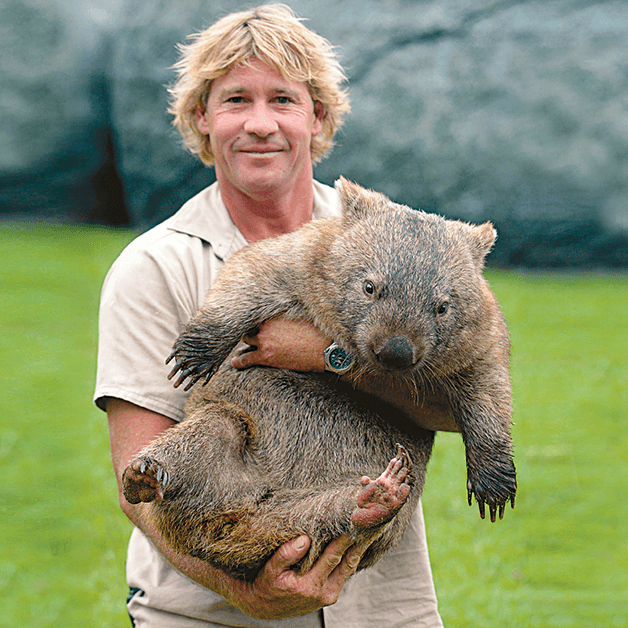 Steve Wombat